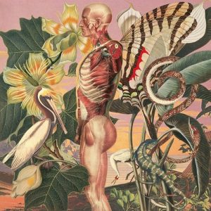 Anatomy-art-by-Juan-Gatti
