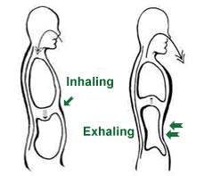 abdominal-breathing