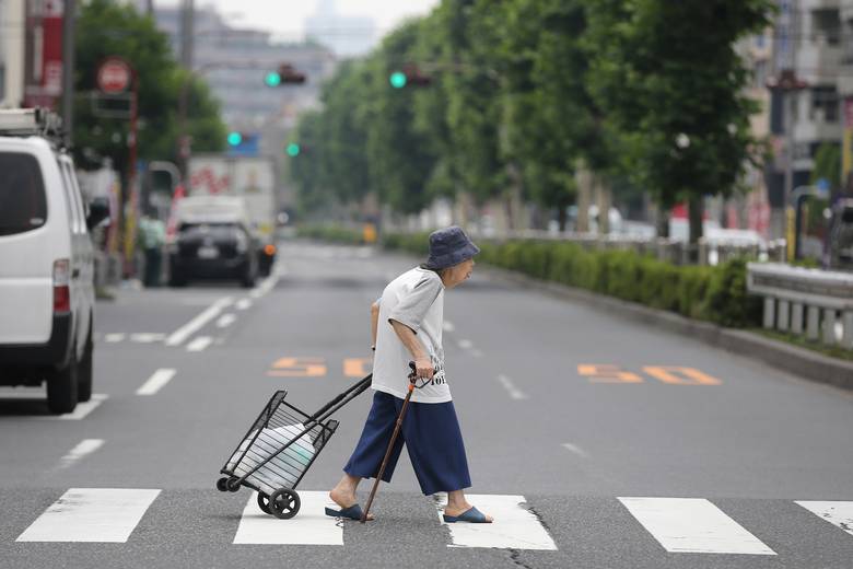 wires-japanseniors13rb3.JPG