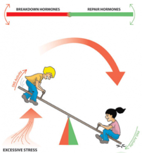Hormones