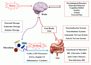 gut-microbiota