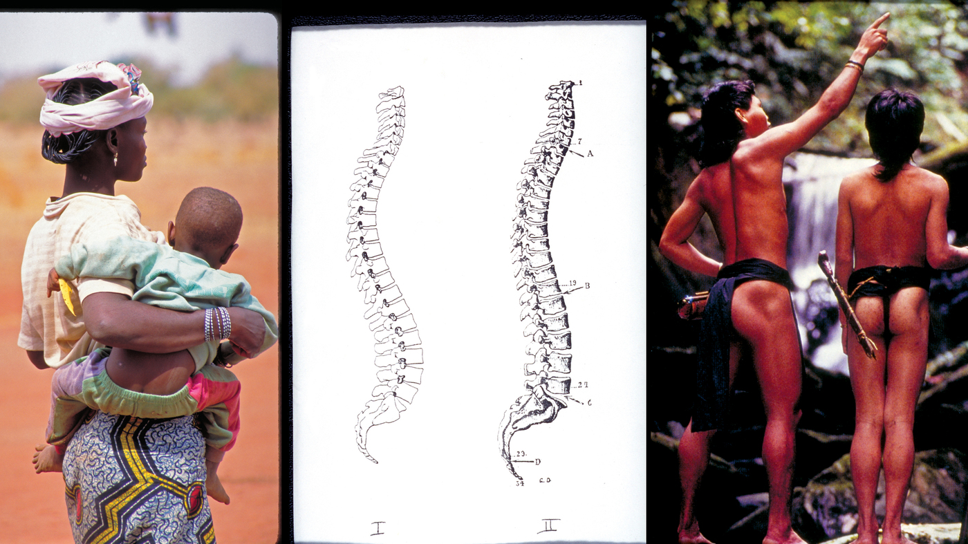posture analysis posture analysis