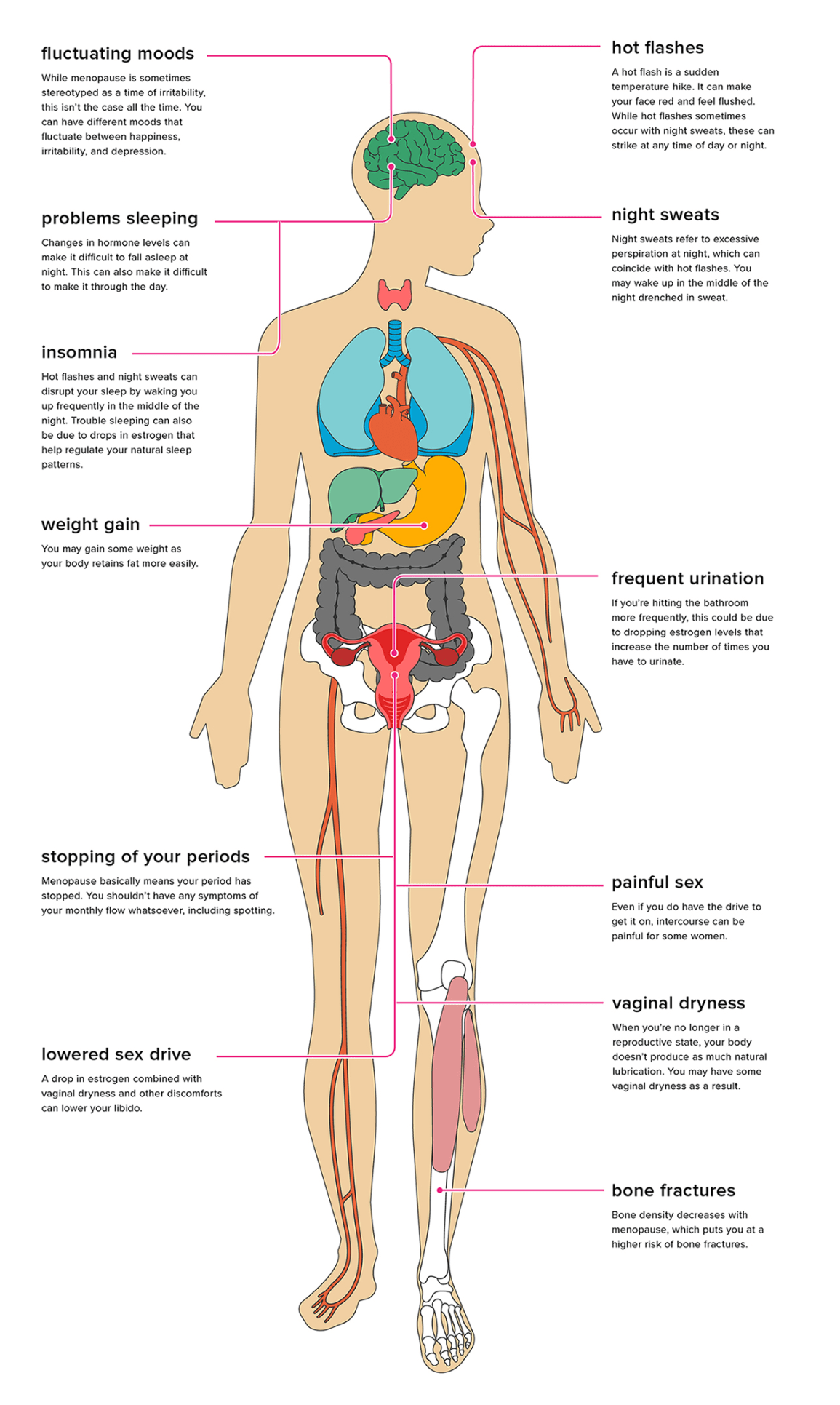 Menopause Effects